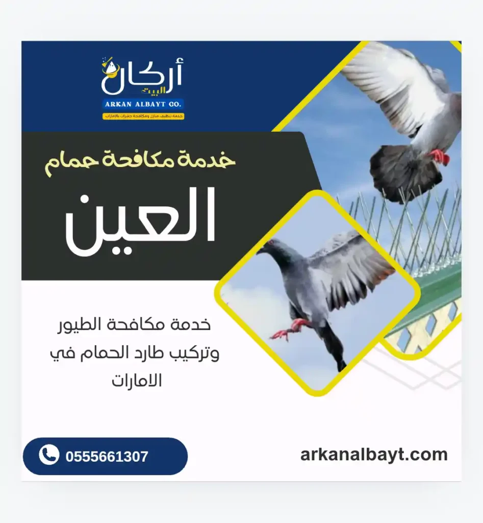 شركة مكافحة حمام في العين