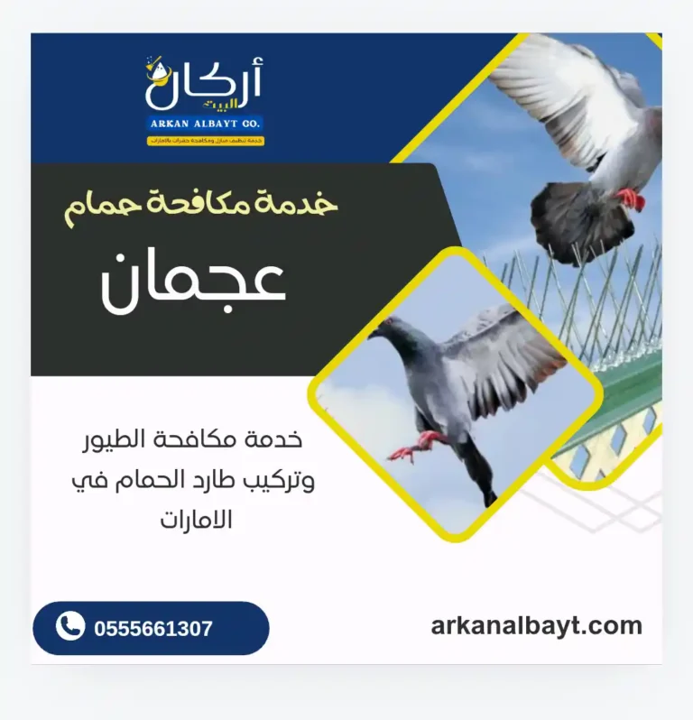شركة مكافحة حمام في عجمان