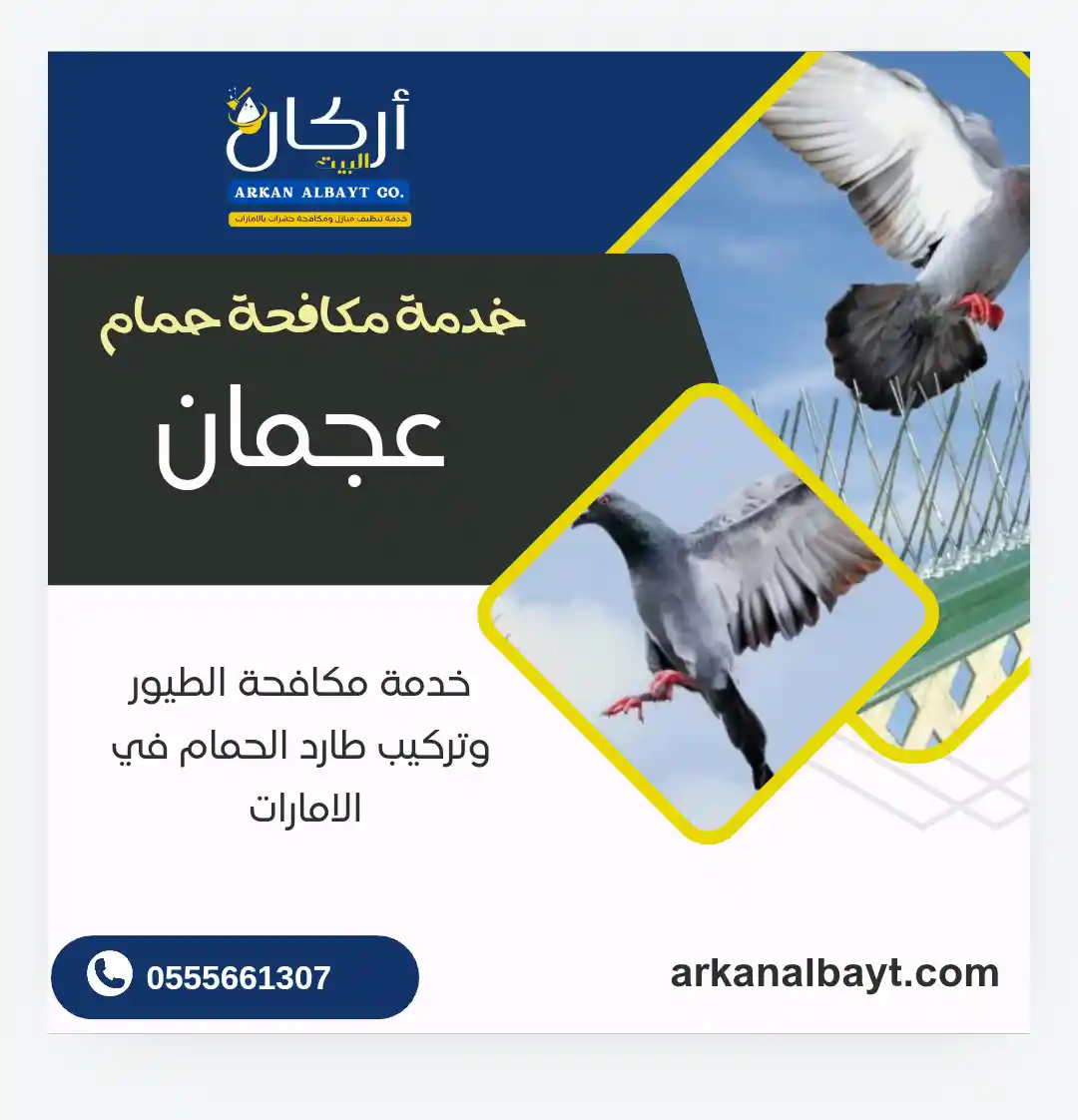 شركة مكافحة حمام في عجمان 
